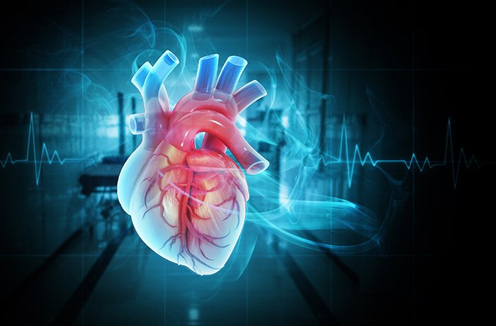 A graphic of an anatomical heart
